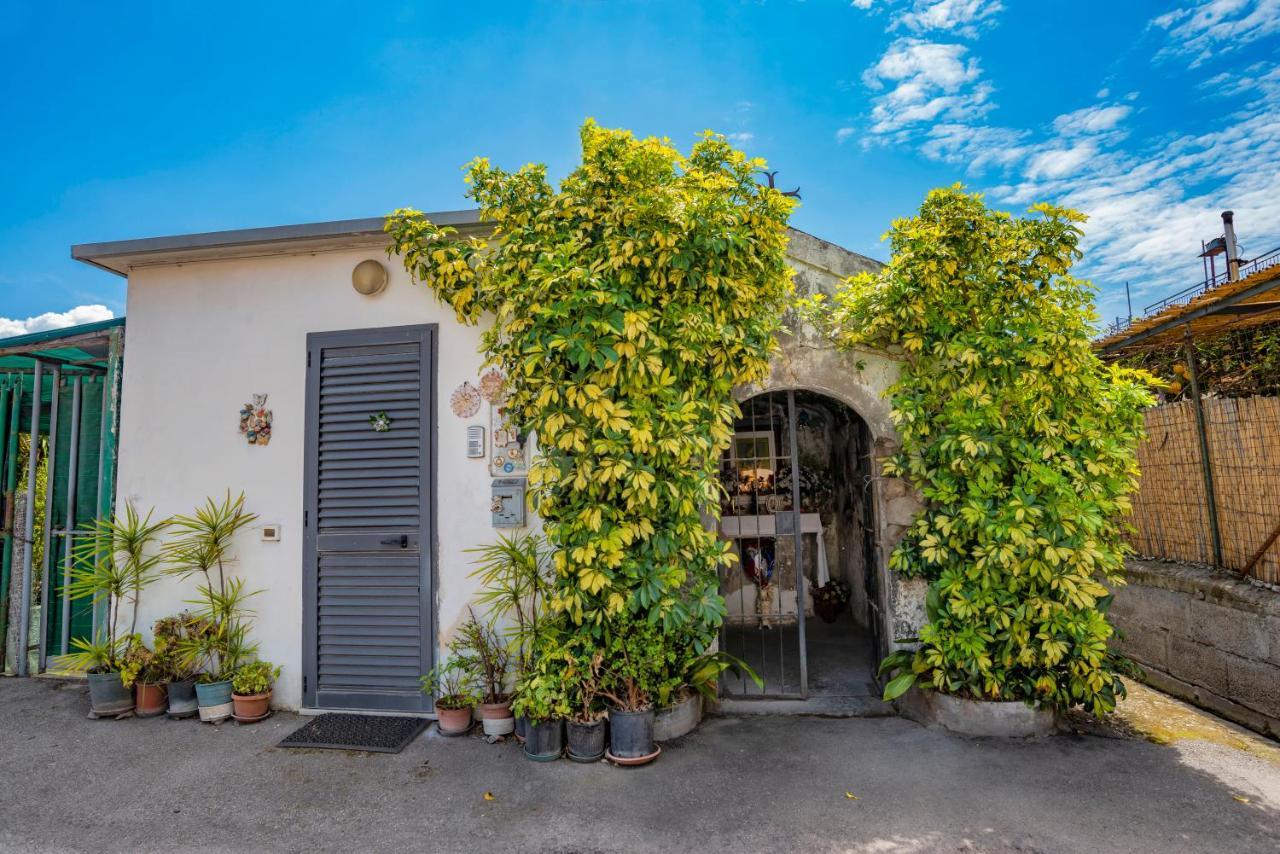 Nives Bed & Breakfast Pompei Exteriér fotografie